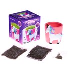 Набор для опытов, для детей «Выращиваем травку», растение в горшочке «Единорог» - Фото 2