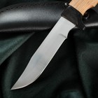 Нож туристический «Турист-3» 7418246 - фото 13179437 Нож туристический «Турист-3» 7418246 - фото 13179437