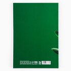 Ежедневник в тонкой обложке А5, 72 листа «Зеленый фикус» - фото 7627985