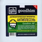 Антисептическая пропитка Goodhim AP «Антиплесень», для всех видов оснований, 5 л - Фото 2