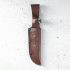 Чехол для ножа, под лезвие 14 см, кожа - фото 11890797
