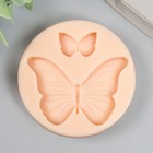 Молд силиконовый "Бабочки" 5х3,5 см; 1,8х1,2 см МИКС - Фото 7