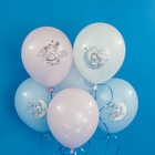 Воздушные шары латексные 12" «Маленькие мечты», 25 шт., МИКС - фото 36853751