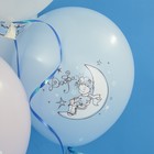 Воздушные шары латексные 12" «Маленькие мечты», 25 шт., МИКС - фото 36853752