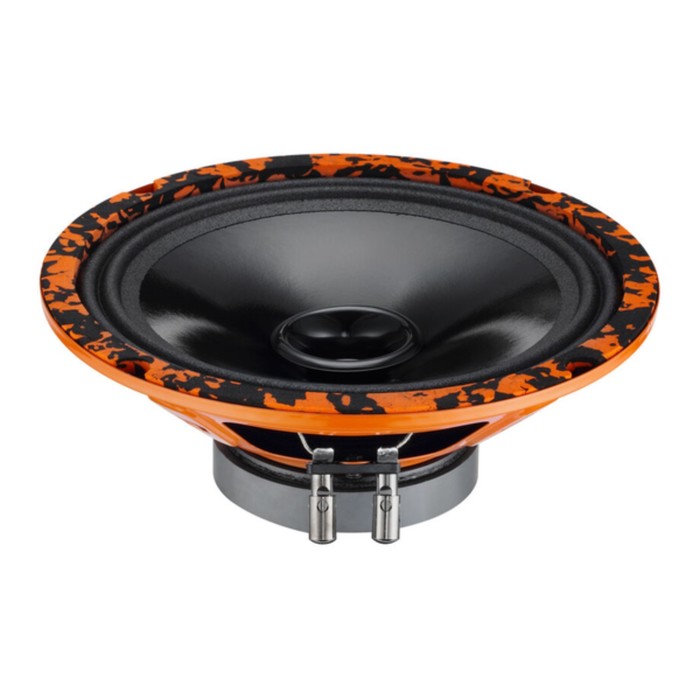 Акустика DL Audio Gryphon Lite 200 v2