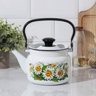 Чайник, 2 л, эмалированная сталь, деколь МИКС, белый - Фото 1