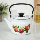 Чайник, 2 л, эмалированная сталь, деколь МИКС, белый - Фото 7