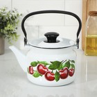 Чайник, 2 л, эмалированная сталь, деколь МИКС, белый - Фото 9