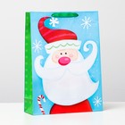 Пакет ламинированный, "Дед мороз красный нос" 31 х 42 х 12 - фото 318709073