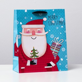 Пакет ламинированный "Дед мороз с подарками", 26 x 32 x 12 см