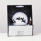 Пакет ламинированный,"Ночные сюрпризы" 26 x 32 x 12 (комплект 2 шт) - фото 23563327