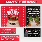 Набор «Новый кот к нам мчится»: ежедневник А5, 80 листов и планинг 50 листов - фото 2965599