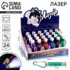 Фонарик-лазер брелок для ключей на карабине «Для активных кошек», в шоубоксе, МИКС - Фото 1