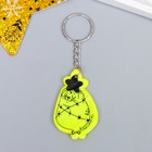 Брелок пластик светоотражающий "Тюленчик со звёздочкой" 3,1х5 см (комплект 12 шт) - фото 30898297