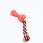 Игрушка жевательная "Ключ", TPR, 19 см, микс цветов - Фото 1