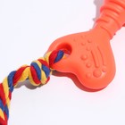 Игрушка жевательная "Ключ", TPR, 19 см, микс цветов - Фото 3