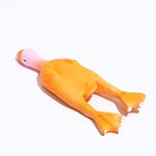 Игрушка "Утка", латекс, 24 см, микс цветов - Фото 2