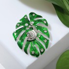 Брошь «Лист монстера» с улиткой, цвет зелёно-белый в серебре - Фото 1