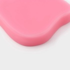 Молд для заливки Доляна «Белочка и орешки», силикон, 5 ячеек, 10×7×1.5 см, розовый - Фото 4