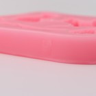 Молд Доляна «Белочка и орешки», силикон, 10×7×1,5 см, цвет розовый - фото 4338935