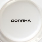 Кружка Доляна «Коты-аристократы», 350 мл, фарфор, белая - Фото 5