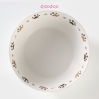 Салатник «Коты-аристократы», 1 л, d=18 см, фарфор, белый - Фото 2