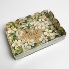 Коробка кондитерская с PVC крышкой «Пчёлка», 20 х 30 х 8 см - Фото 2