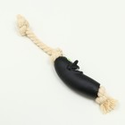 Игрушка "Обугленная сосиска на верёвке" для собак, 14 см, чёрная - Фото 3
