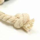 Игрушка "Обугленная сосиска на верёвке" для собак, 14 см, чёрная - фото 6504459