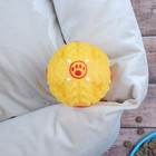 Квакающий мяч для собак большой, жёсткий, 9,5 см, жёлтый - фото 9195264
