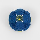 Квакающий мяч для собак большой, жёсткий, 9,5 см, тёмно-синий - фото 9195275