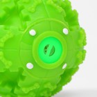 Квакающий мяч для собак большой, жёсткий, 9,5 см, зелёный - Фото 4