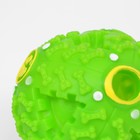 Квакающий мяч для собак большой, жёсткий, 9,5 см, зелёный - Фото 6