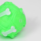 Игрушка пищащая "Клубок с косточками" для собак, 8 см, зелёная - Фото 4