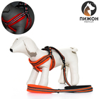 Комплект амуниции мягкий, светоотражающий, поводок 120 х 1,5 см, ОШ 35-53 см, оранжевый - Фото 1