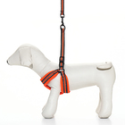 Комплект амуниции мягкий, светоотражающий, поводок 120 х 1,5 см, ОШ 35-53 см, оранжевый - Фото 2