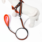 Комплект амуниции мягкий, светоотражающий, поводок 120 х 1,5 см, ОШ 35-53 см, оранжевый - Фото 3