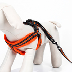 Комплект амуниции мягкий, светоотражающий, поводок 120 х 1,5 см, ОШ 35-53 см, оранжевый - Фото 4