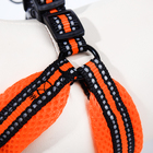 Комплект амуниции мягкий, светоотражающий, поводок 120 х 1,5 см, ОШ 35-53 см, оранжевый - Фото 5