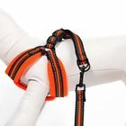 Комплект амуниции мягкий, светоотражающий, поводок 120 х 1,5 см, ОШ 35-53 см, оранжевый - Фото 6