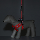 Комплект амуниции мягкий, светоотражающий, поводок 120 х 1,5 см, ОШ 35-53 см, оранжевый - Фото 10