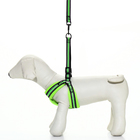 Комплект амуниции светоотражающий с мягкой шлейкой и мягкой ручкой, 1.5×120 см, ОШ 35-53, жёлтый - Фото 2