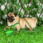 Комплект амуниции светоотражающий с мягкой шлейкой и мягкой ручкой, 1.5×120 см, ОШ 35-53, жёлтый - Фото 11