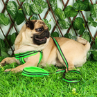 Комплект амуниции светоотражающий с мягкой шлейкой и мягкой ручкой, 1.5×120 см, ОШ 35-53, жёлтый - Фото 12