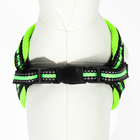 Комплект амуниции светоотражающий с мягкой шлейкой и мягкой ручкой, 1.5×120 см, ОШ 35-53, жёлтый - Фото 7