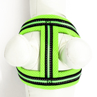 Комплект амуниции светоотражающий с мягкой шлейкой и мягкой ручкой, 1.5×120 см, ОШ 35-53, жёлтый - Фото 8