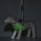 Комплект амуниции светоотражающий с мягкой шлейкой и мягкой ручкой, 1.5×120 см, ОШ 35-53, жёлтый - Фото 10