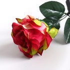 Декор тинги "Роза миниатюрная" 150 см, микс (фасовка 5 шт, цена за 1шт) (комплект 4 шт) - фото 24627901