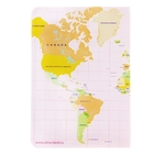 Обложка для паспорта "Карта мира" - Фото 2