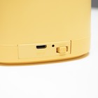 Настольная лампа сенсорная 16848/1YL LED 2Вт USB АКБ желтый 9,5х9,5х38 см RISALUX 7302982 - фото 14000652